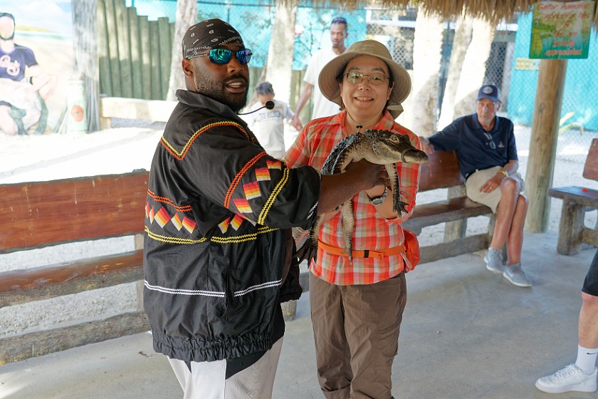 Airboat Tour & Zoo. Portrait with alligator. near Everglades City. .