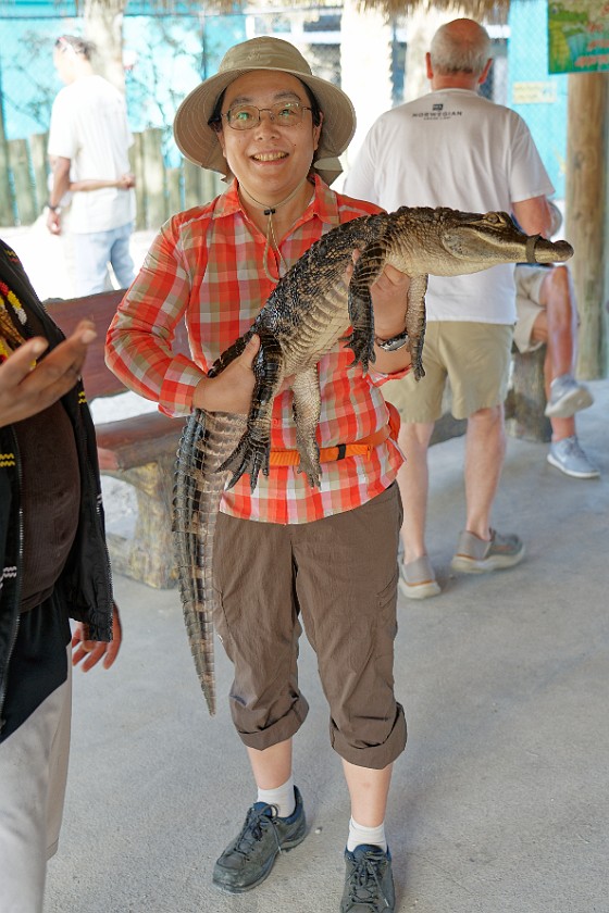 Airboat Tour & Zoo. Portrait with alligator. near Everglades City. .