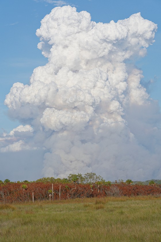 Big Cypress Bend Boardwalk. Wildfire cloud of smoke. near Everglades City. .