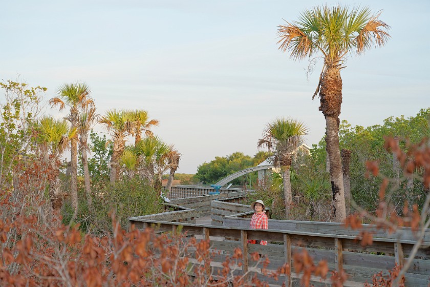 Big Cypress Bend Boardwalk. Boardwalk. near Everglades City. .