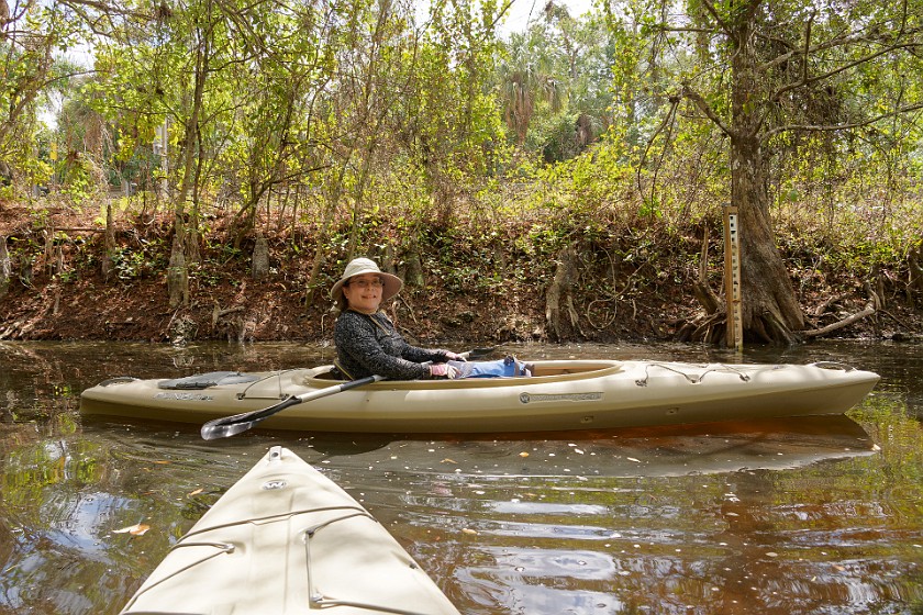 Kayak Tour on the Turner River. Kayaking. near Everglades City. .