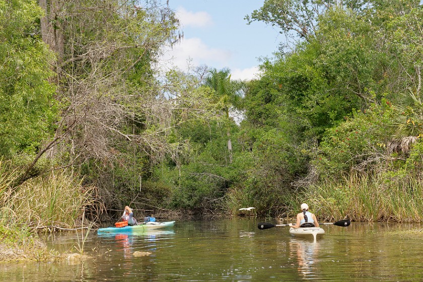 Kayak Tour on the Turner River. Kayaking. near Everglades City. .