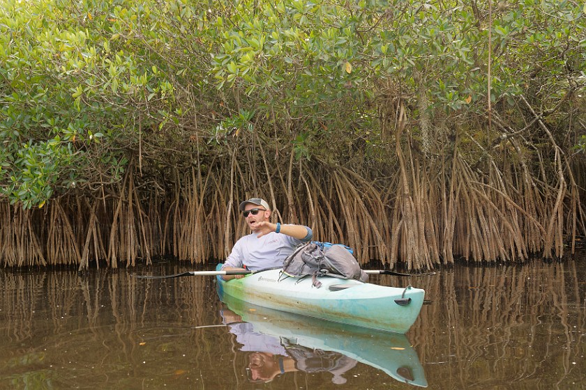 Kayak Tour on the Turner River. Kayaking. near Everglades City. .
