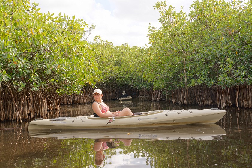 Kayak Tour on the Turner River. Kayaking. near Everglades City. .