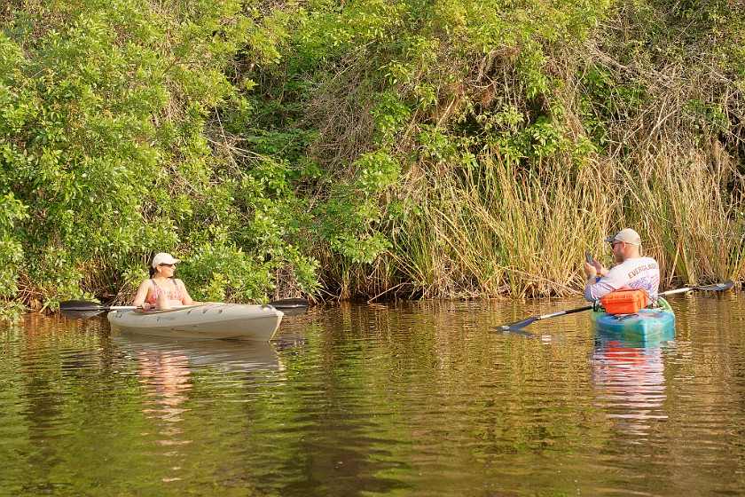 Kayak Tour on the Turner River. Kayaking. near Everglades City. .