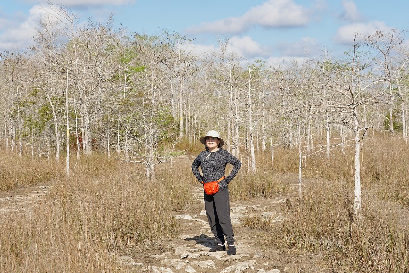 Gator Hook Trail. Hiking. near Ochopee. .