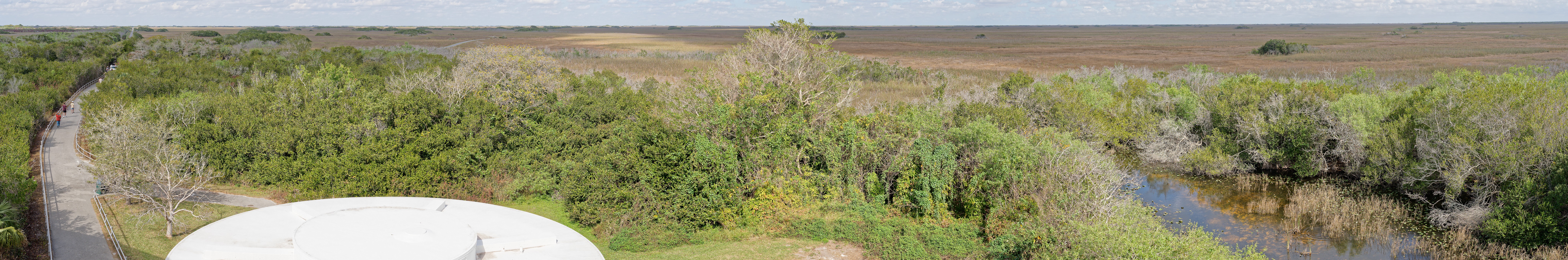 Shark Valley Bicycling Tour. Panoramic view of the marsh land of Shark Valley. near Miami. .