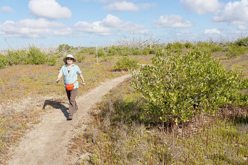 Christian Point Trail. Hiking. near Homestead. .