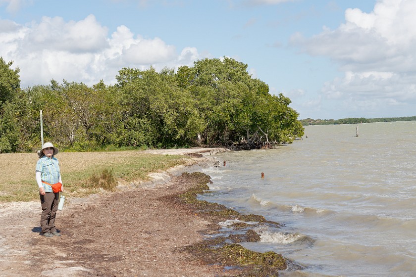 Flamingo Visitor Center & Lodge. Flamingo beach. near Homestead. .