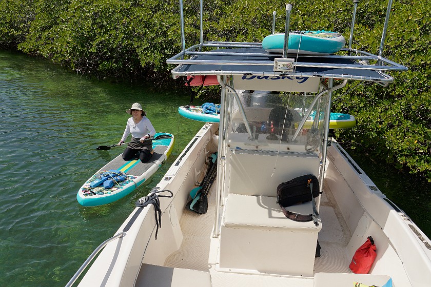 Biscayne National Park Snorkel and Paddle Tour. Standup paddleboarding. near Homestead. .