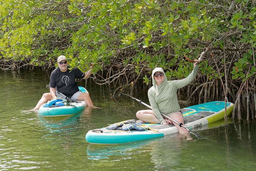 Biscayne National Park Snorkel and Paddle Tour. Standup paddleboarding. near Homestead. .