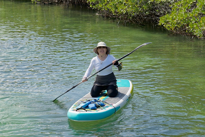 Biscayne National Park Snorkel and Paddle Tour. Standup paddleboarding. near Homestead. .