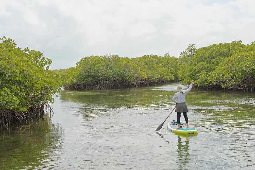 Biscayne National Park Snorkel and Paddle Tour. Standup paddleboarding. near Homestead. .