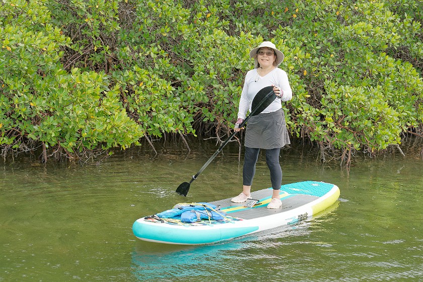 Biscayne National Park Snorkel and Paddle Tour. Standup paddleboarding. near Homestead. .