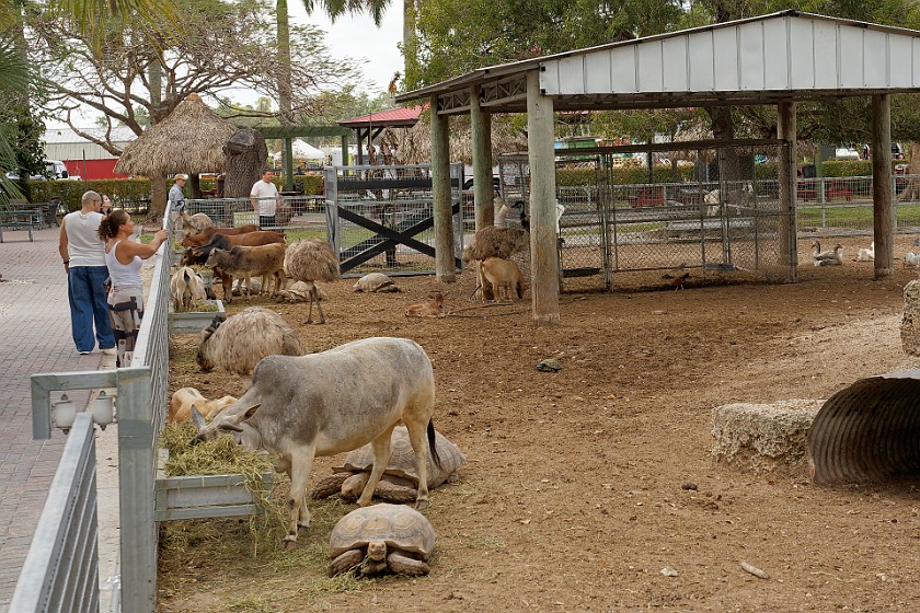 Robert Is Here Fruit Stand & Zoo. Zoo. Homestead. .