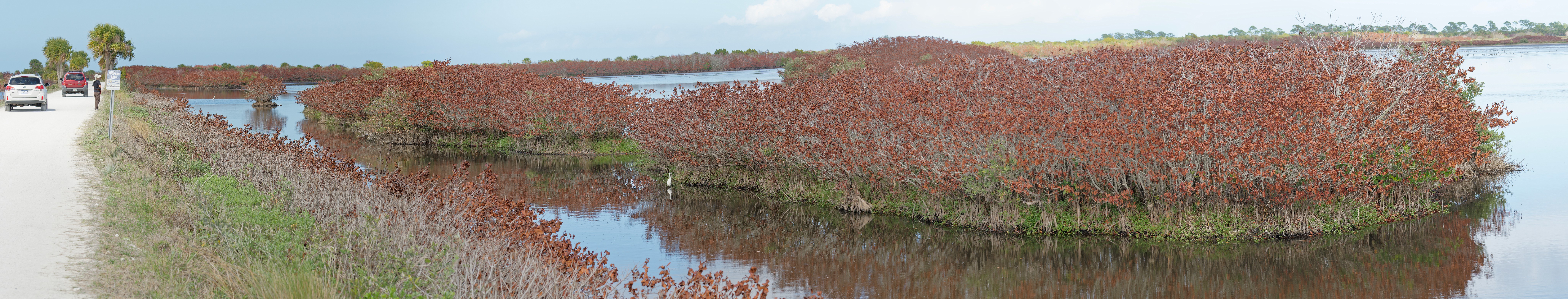 Black Point Wildlife Drive. Panoramic view on a marsh lake. Merritt Island. .