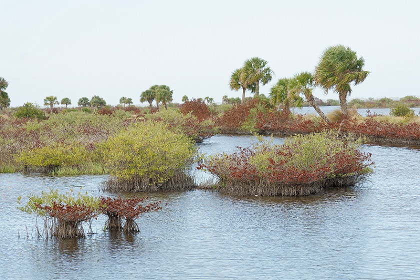 Black Point Wildlife Drive. Marsh lake. Merritt Island. .